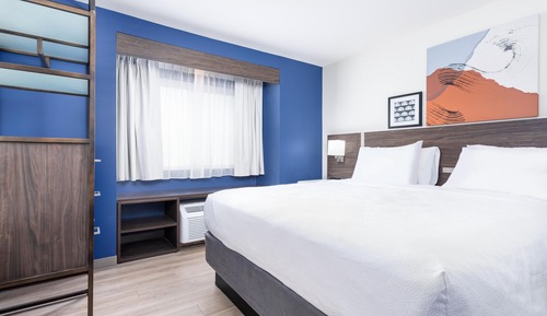 Room, 1 King Bed with Sofa bed