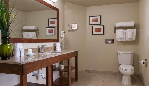 Suite, 1 King Bed with Sofa bed, Non Smoking
