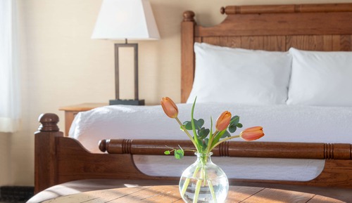 Standard Room, 1 King Bed, Refrigerator, Mountain View (Shower Only;No Pets in room type)