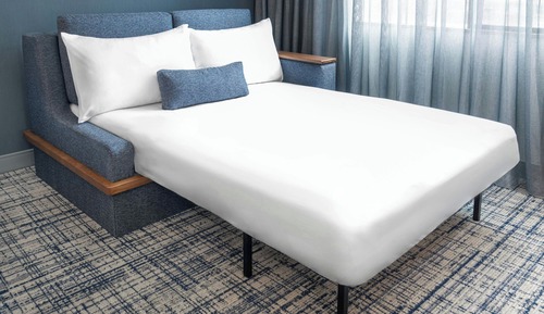 Room, 1 King Bed with Sofa bed (Hearing Accessible)