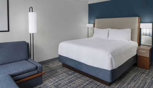 Room, 1 King Bed with Sofa bed