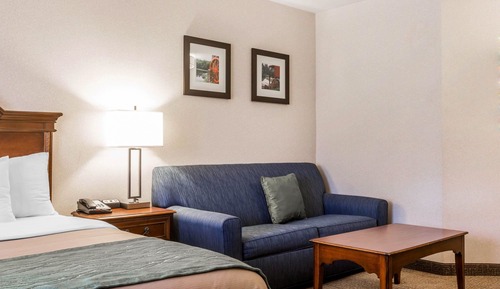 Suite, 1 King Bed with Sofa bed, Non Smoking