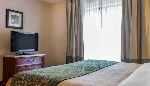 Standard Room, 1 King Bed, Non Smoking