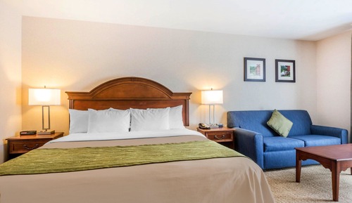 Deluxe Room, 1 King Bed with Sofa bed, Non Smoking