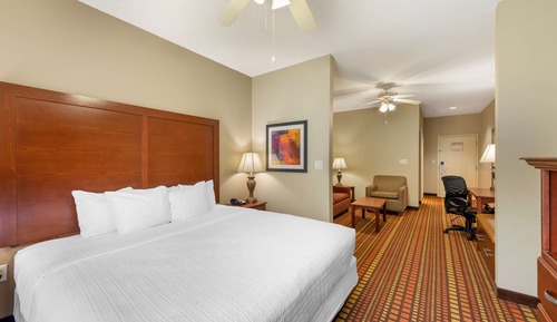 Suite, 1 King Bed, Non Smoking, Refrigerator & Microwave (with Sofabed)