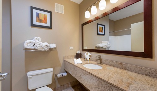 Standard Room, 1 King Bed, Non Smoking, Refrigerator & Microwave