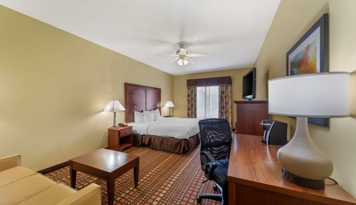 Executive Room, 1 King Bed, Non Smoking, Refrigerator & Microwave (with Sofabed)