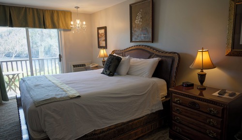 Hotel Room, 1 King Bed, Fireplace, River View