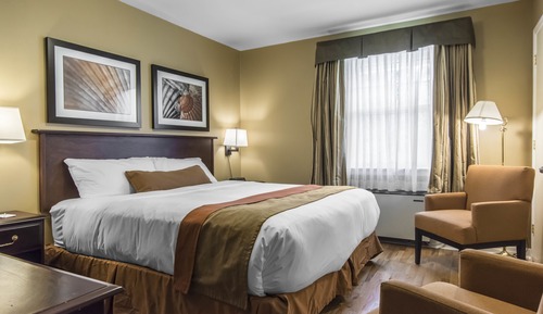 Single Bedroom Cottage with King Sized Bed