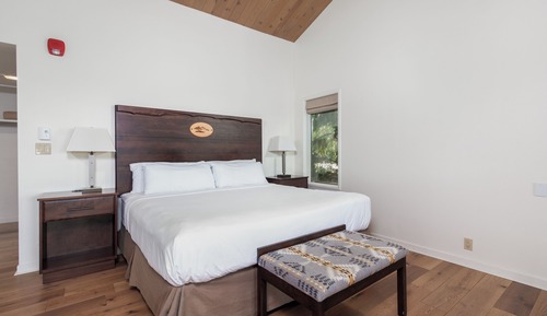 Room, 1 King Bed with Sofa bed (Premier King plus Sofa Bed)