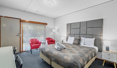 Standard Room, 1 King Bed, Accessible, Non Smoking (Roll in Shower)