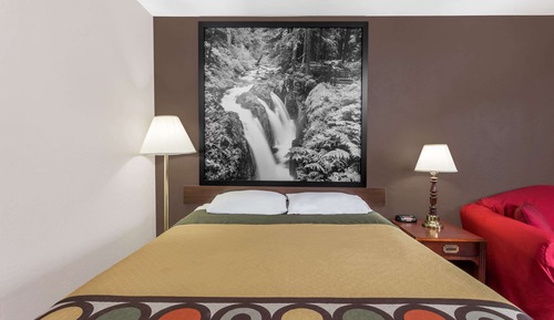 Room, 1 Queen Bed, Accessible, Non Smoking (Mobility,Tub w/Grab Bars,Pet-Friendly)