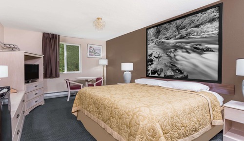 Room, 1 King Bed, Refrigerator