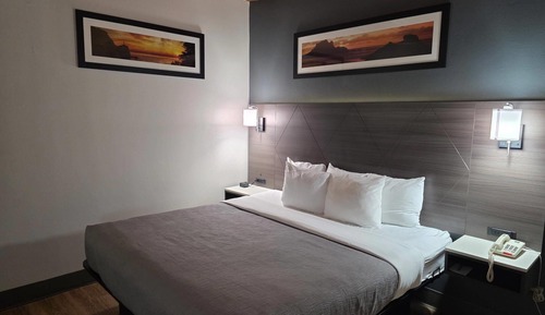 Standard Room, 1 King Bed, Non Smoking