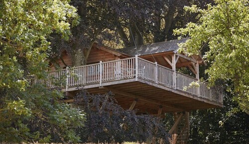 Luxury Tree House