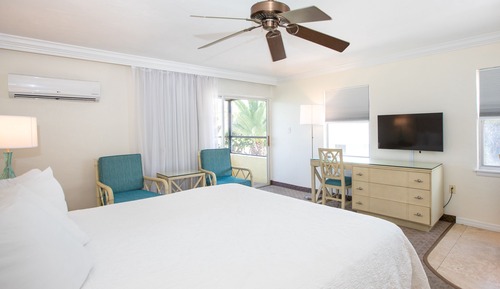 Studio, 1 King Bed, Accessible, Kitchenette