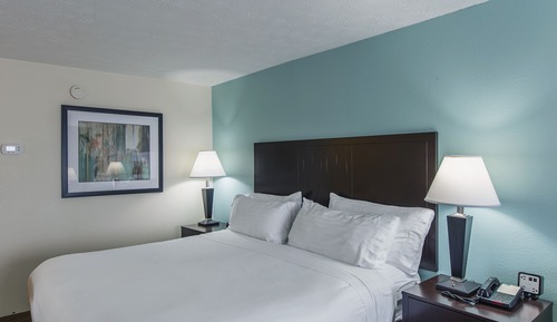 Standard Room, 1 King Bed with Sofa bed