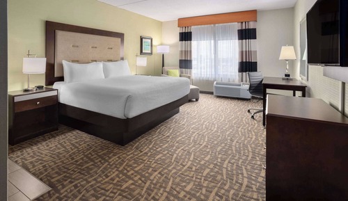 Room, 1 King Bed, Non Smoking