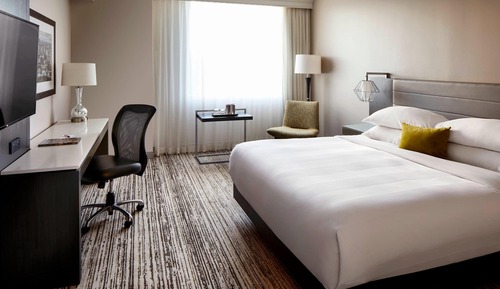 Room, 1 King Bed with Sofa bed (Hearing Accessible)