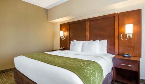 Suite, 1 King Bed, Non Smoking