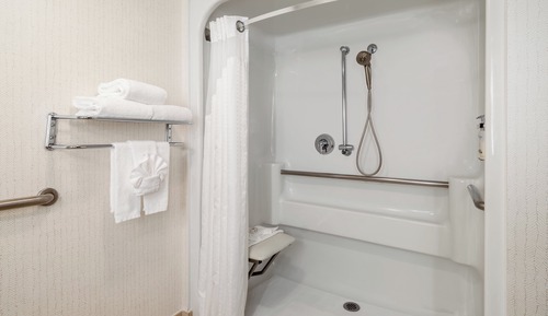 Suite, 1 King Bed, Roll-in Shower, Non Smoking (Communications Accessible)