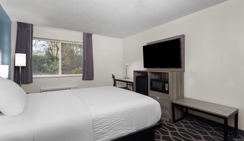 Room, 1 Queen Bed, Accessible, Non Smoking