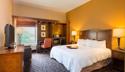 Room, 1 King Bed, Accessible, Non Smoking