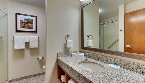 Deluxe Room, 1 King Bed, Refrigerator & Microwave (Oversized)