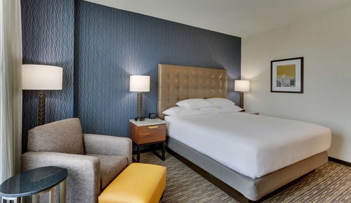 Deluxe Room, 1 King Bed, Accessible, Refrigerator & Microwave (Roll in Shower)