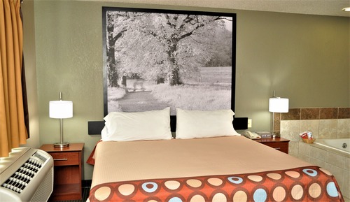 Premier Studio Suite, 1 King Bed, Non Smoking (Pet-Friendly)