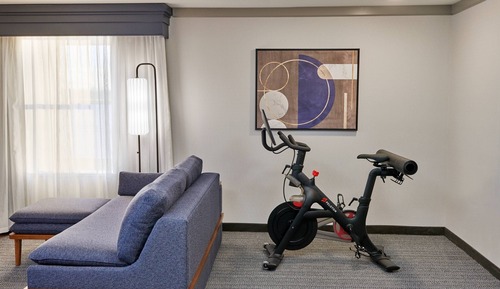 Room, 1 King Bed with Sofa bed (Exercise Equipment)