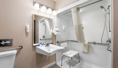Room, 1 Double Bed, Accessible, Non Smoking (Roll-In Shower)