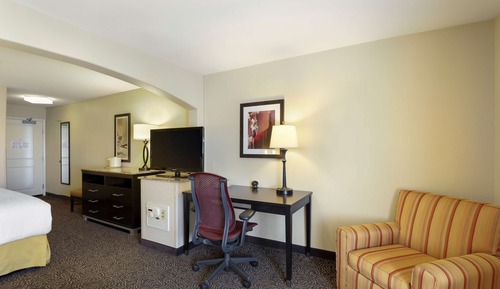 Suite, 1 King Bed, Non Smoking, Refrigerator & Microwave (with Sofabed)