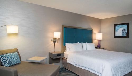 Room, 1 King Bed, Accessible, Non Smoking (Roll-in Shower)