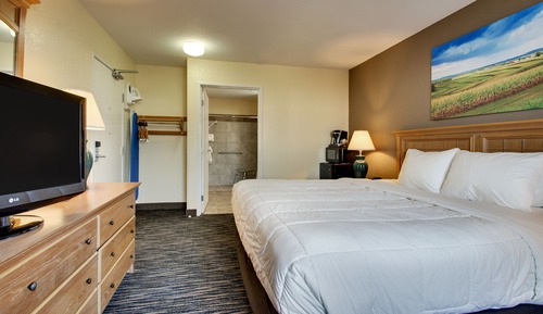 Room, 1 King Bed, Accessible (Handicapped Accessible King)