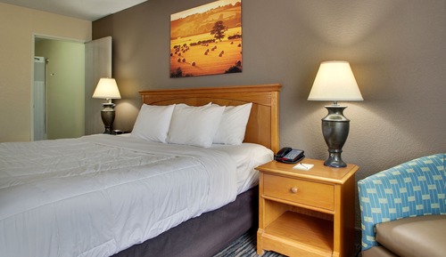 Standard Room, 1 Queen Bed