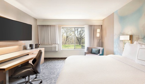 Room, 1 King Bed with Sofa bed (Mobility Accessible, Roll-In Shower)