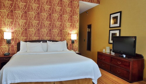 Room, 1 King Bed with Sofa bed