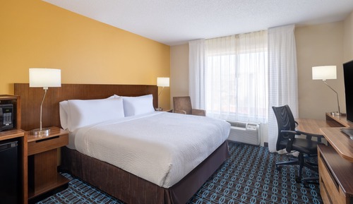 Suite, 1 King Bed with Sofa bed