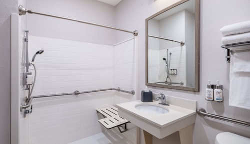 Room, 1 King Bed, Roll-in Shower (Mobility, Hearing Accessible)