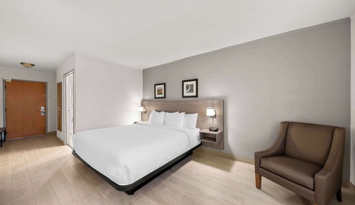 Standard Room, 1 King Bed, Non Smoking