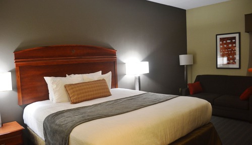 Standard Room, 1 King Bed, Non Smoking, Jetted Tub (with Sofabed)