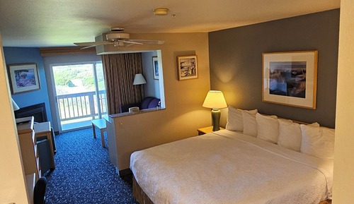 1 King Bed, Partial Ocean View, ADA Accessible, Roll in Shower (Non-Pet Room)