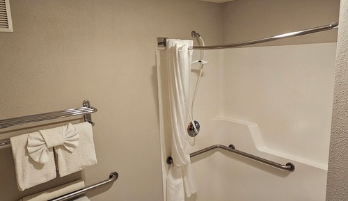 1 King Bed, Fireplace1 King Bed, Partial Ocean View (Non-Pet Room)