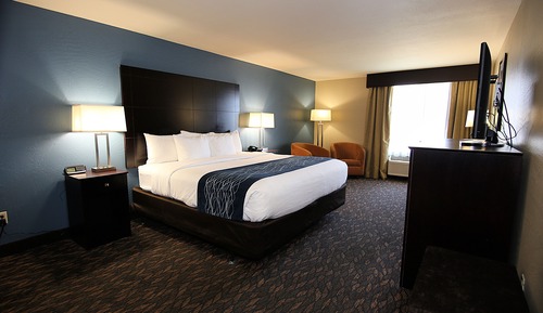 Single Room, 1 King Bed, Accessible, Non Smoking