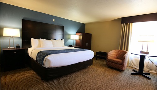 Standard Room, 1 King Bed, Non Smoking