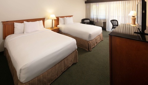 Standard Room, 2 Double Beds