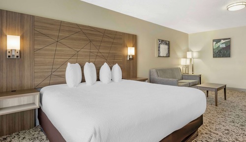 Standard Room, 1 King Bed, Non Smoking, Refrigerator & Microwave