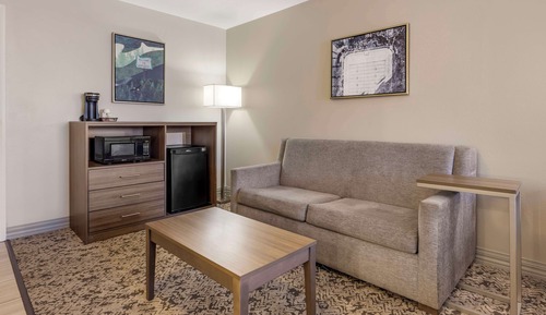 Standard Room, 1 King Bed, Accessible, Refrigerator & Microwave