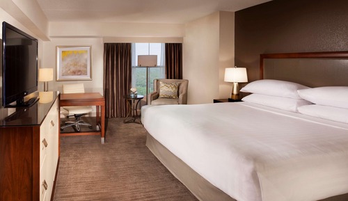 Room, 1 King Bed (Pure)